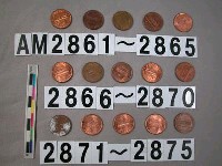 藏品(美國1分硬幣)的圖片